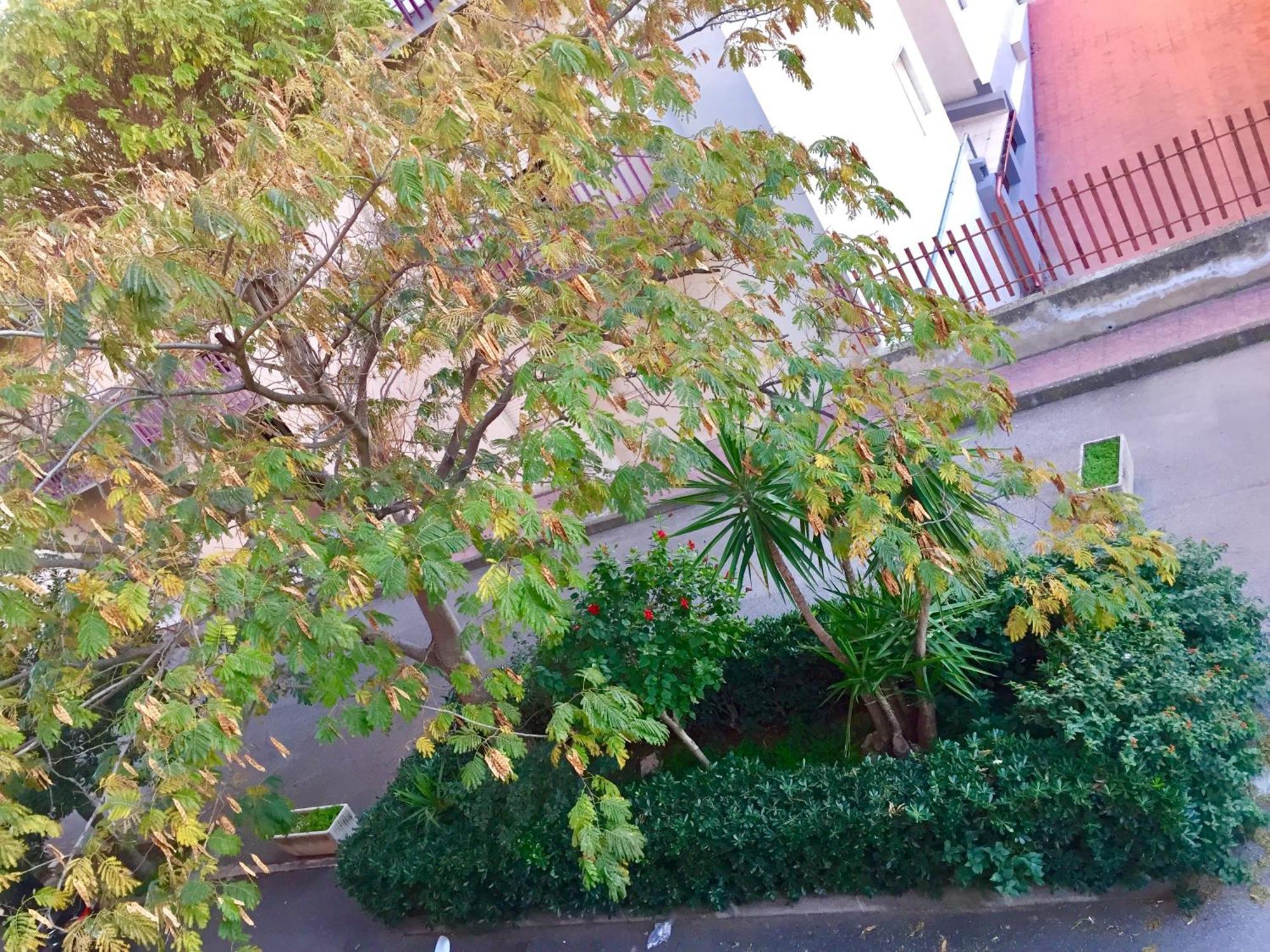 Casa Cristina Apartment คอมิโซ ภายนอก รูปภาพ